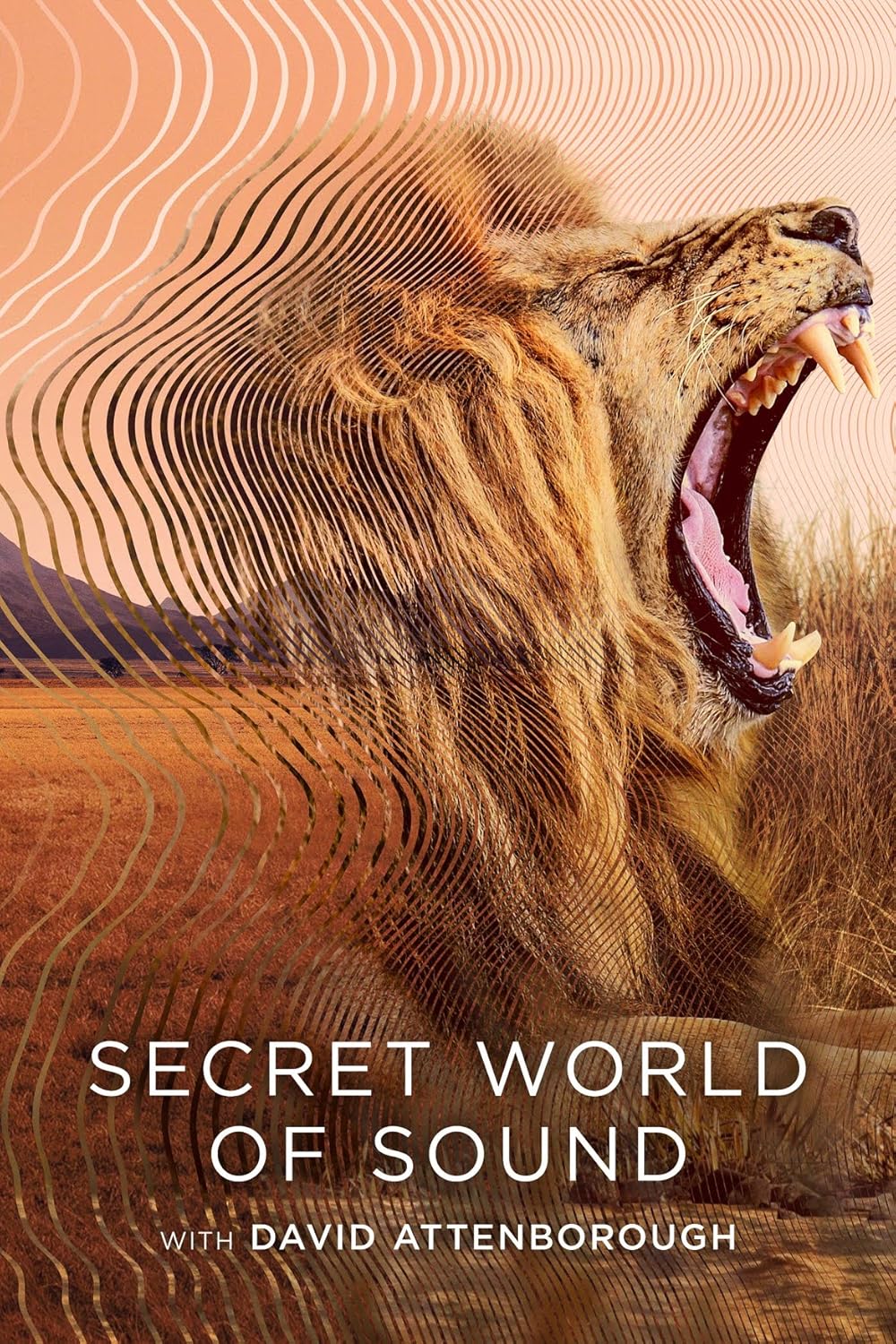 Secret World of Sound with David Attenborough (S01)